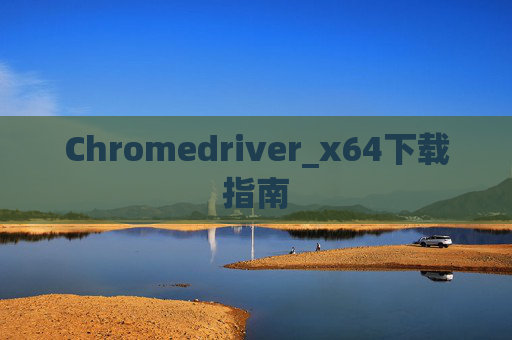 Chromedriver_x64下载指南